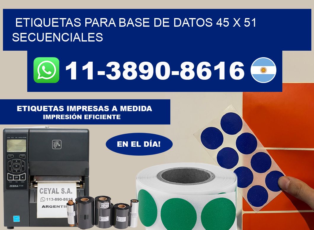 etiquetas para base de datos 45 x 51 secuenciales