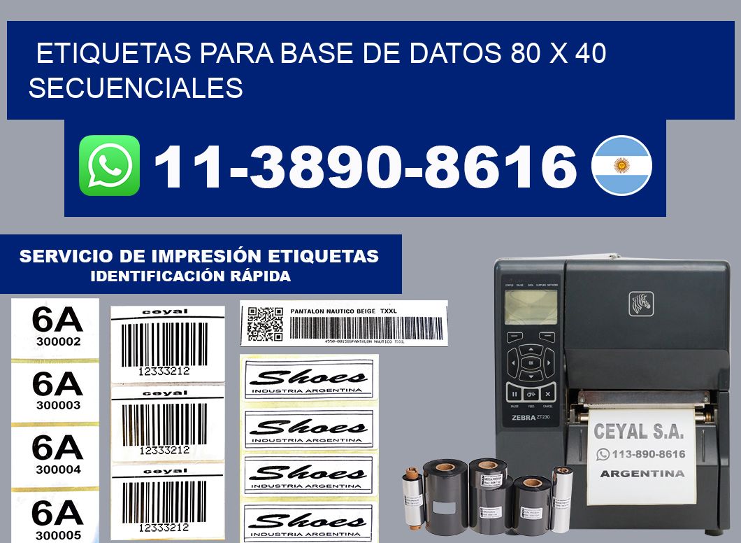 etiquetas para base de datos 80 x 40 secuenciales