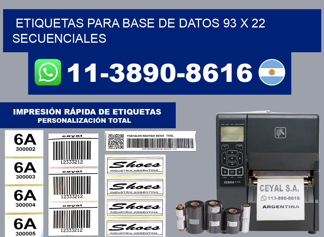 etiquetas para base de datos 93 x 22 secuenciales