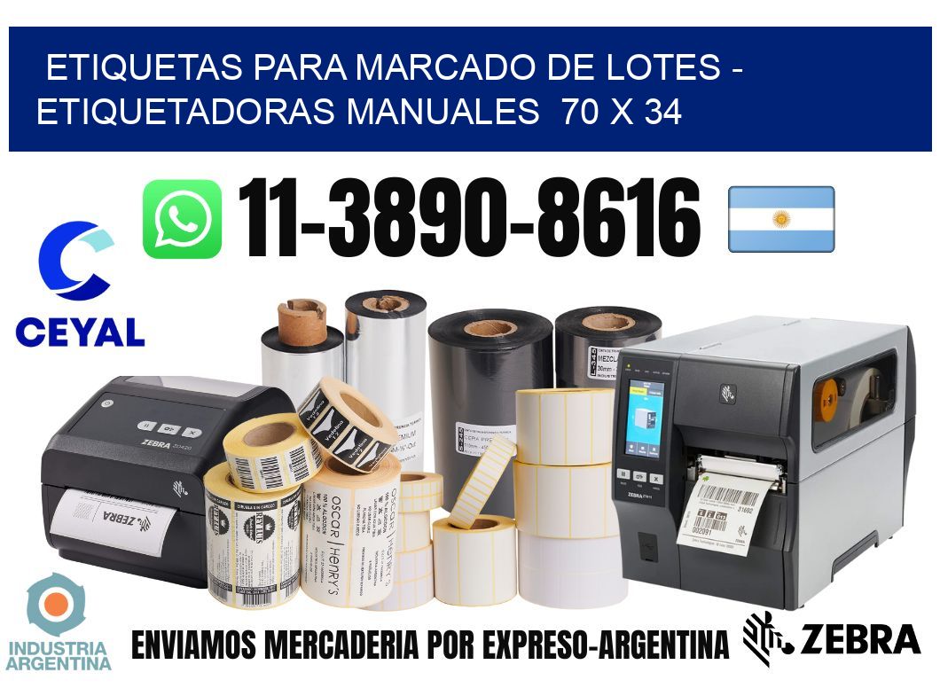 etiquetas para marcado de lotes - Etiquetadoras Manuales  70 x 34