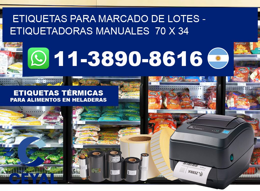 etiquetas para marcado de lotes – Etiquetadoras Manuales  70 x 34
