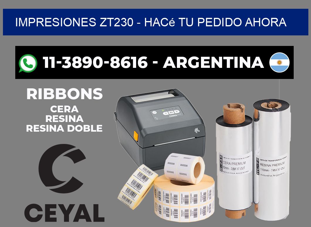 Impresiones ZT230 - Hacé tu pedido ahora