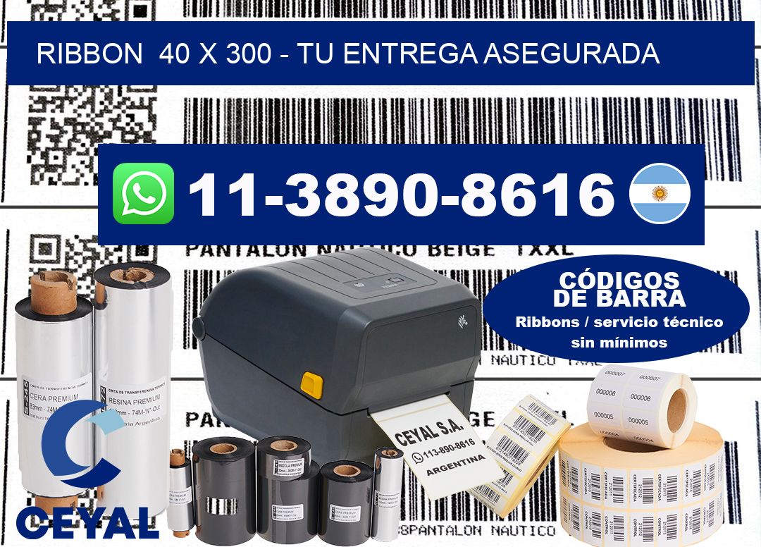 ribbon 40 x 300 - Tu entrega asegurada