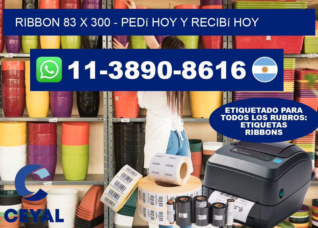 ribbon 83 x 300 - Pedí hoy y recibí hoy