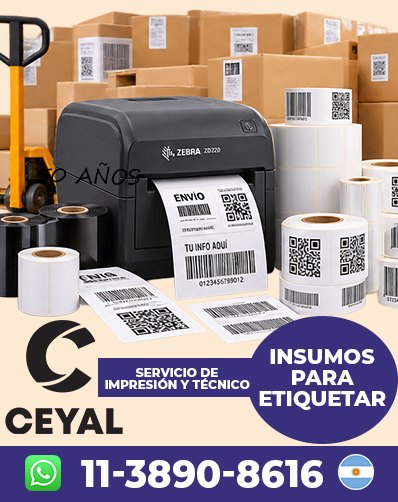 COMO UTILIZAR RIBBON RESINA - Encontrá lo que necesitás